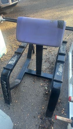 Icarian Preacher Curl Bench