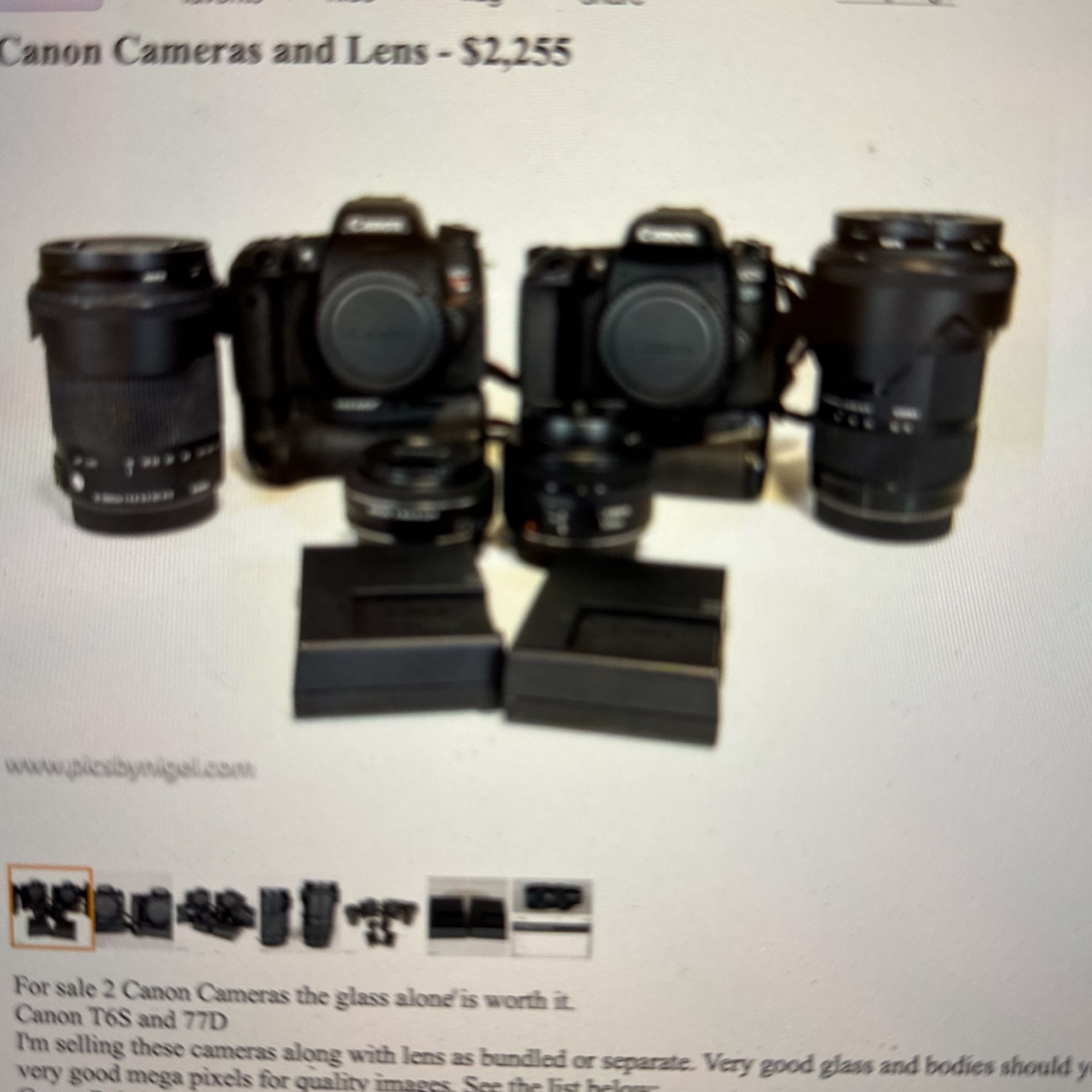 Two Canon Cameras And Various Lens