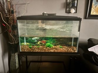 29 gallon fish tank with filter and  stand