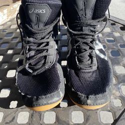 ASICS  Wrestling Shoes 