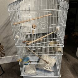 Bird Cage