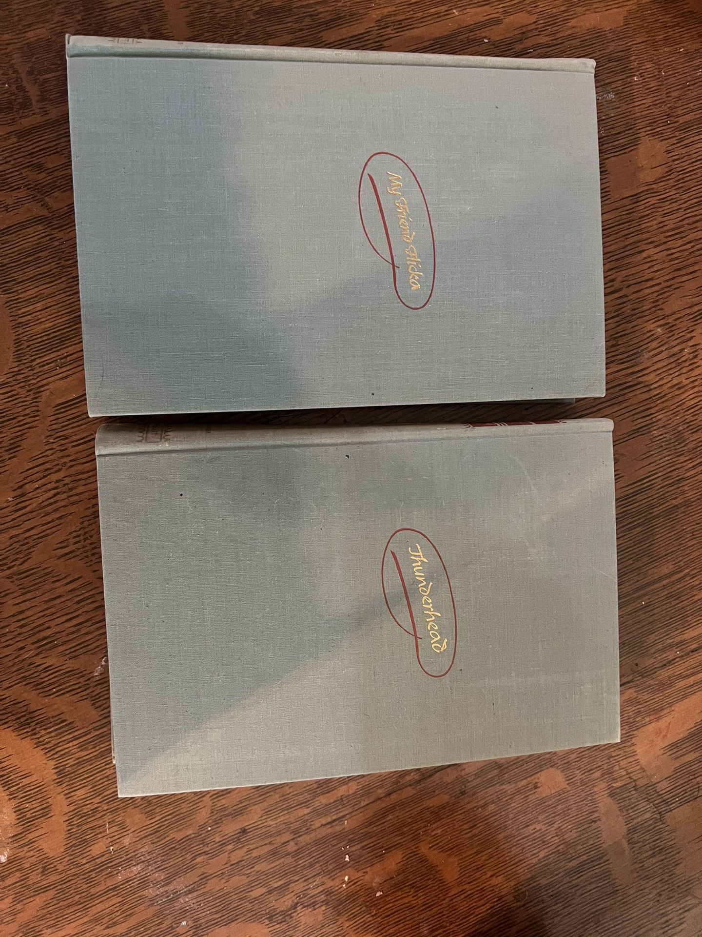 Vintage Books: My Friend Flickr & Thunderbolt