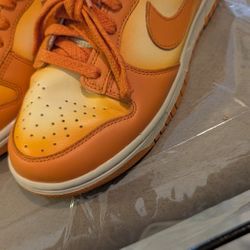 Dunks   Women Size 6.5 