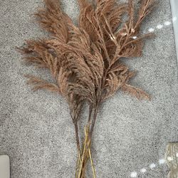 Pampas grass stems