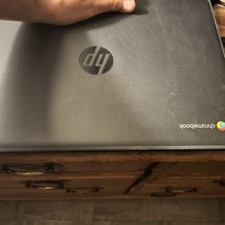 hp fortis 14 inch g10 chromebook  Laptop 