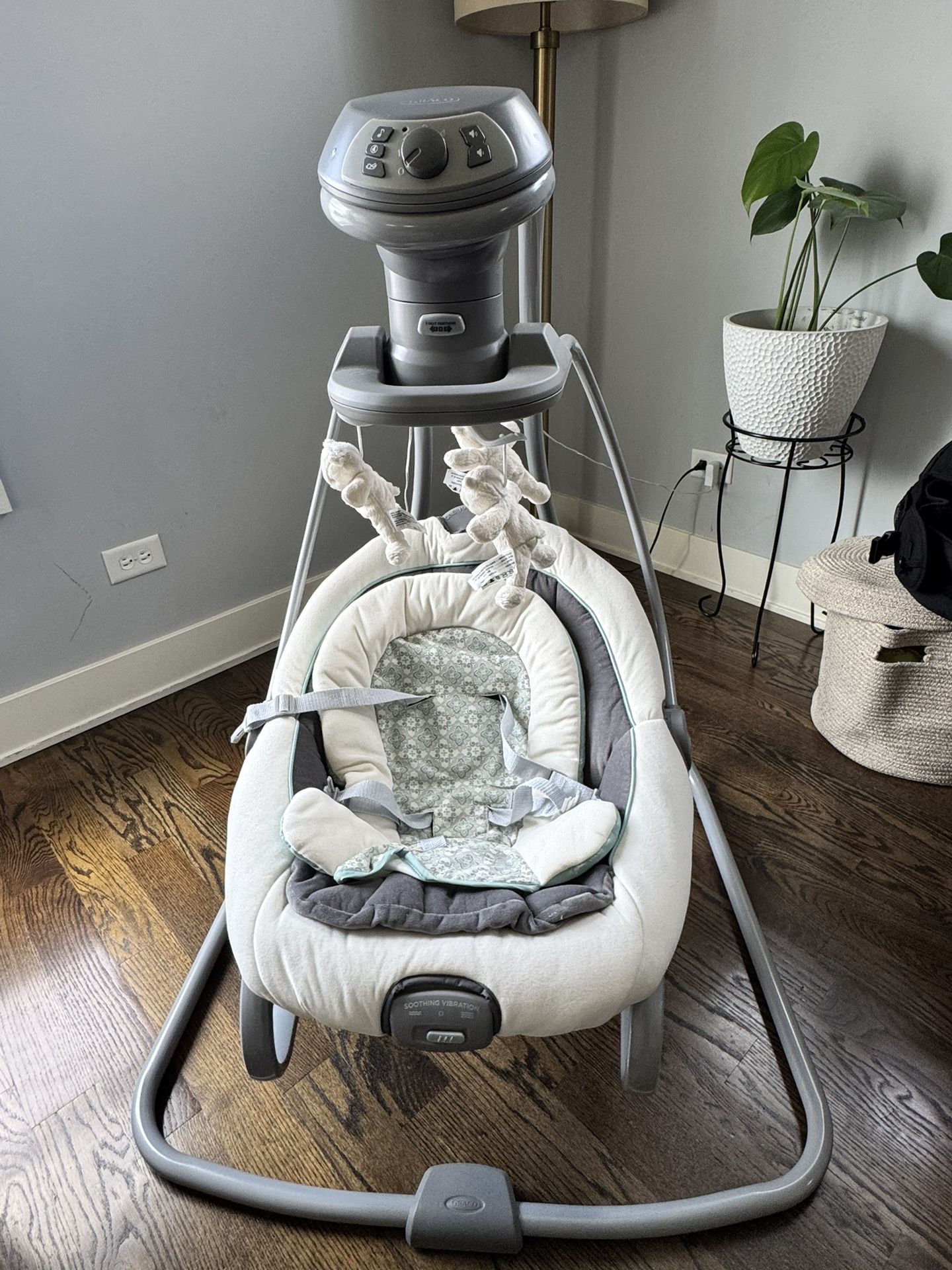 Graco Swing