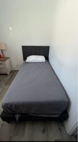 Single beds with mattress
