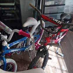 2 new bikes Red One Is boys And The Blue One Is For A Girl 