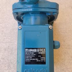 Water Pump Calpeda