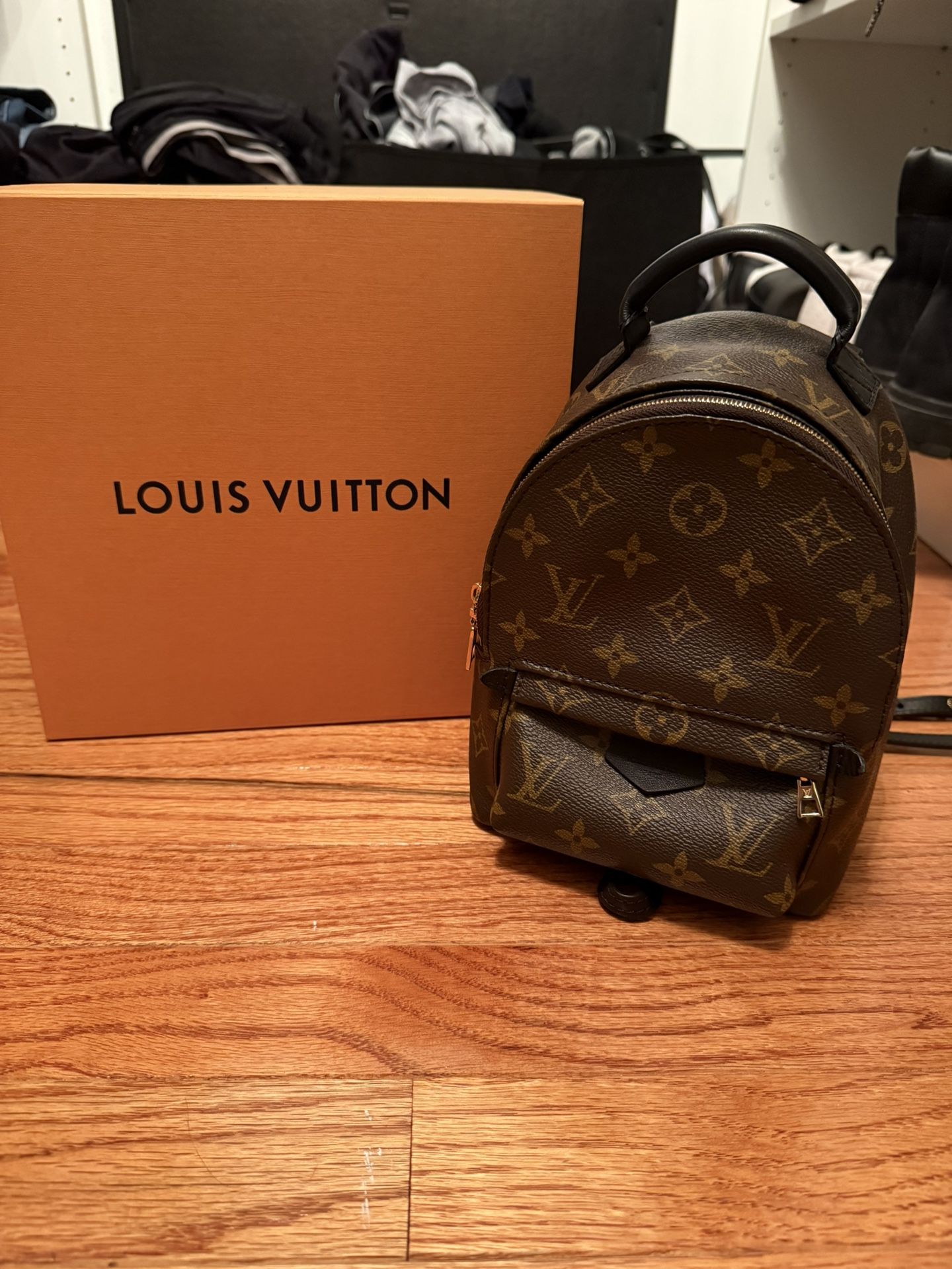 Louis Vuitton Palm Springs Mini