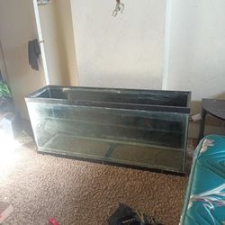 40 Gallon Fishtank