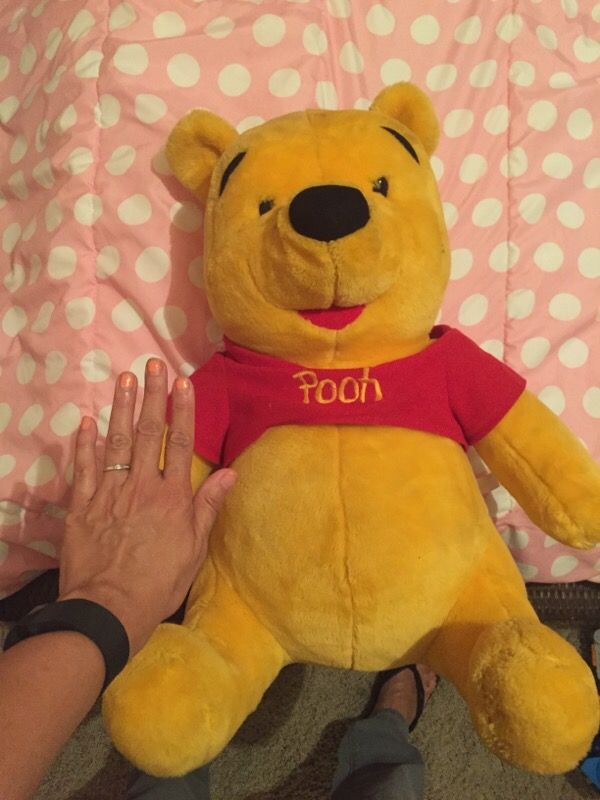 Big Winnie The Pooh Bear