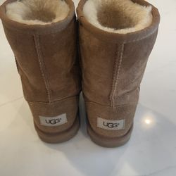 Chestnut Uggs Size 5