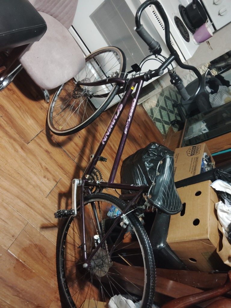 Schwinn