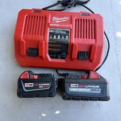 2 batteries and 1 charger