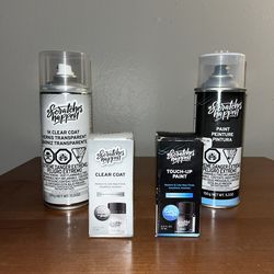 Audi Touch Up Paint