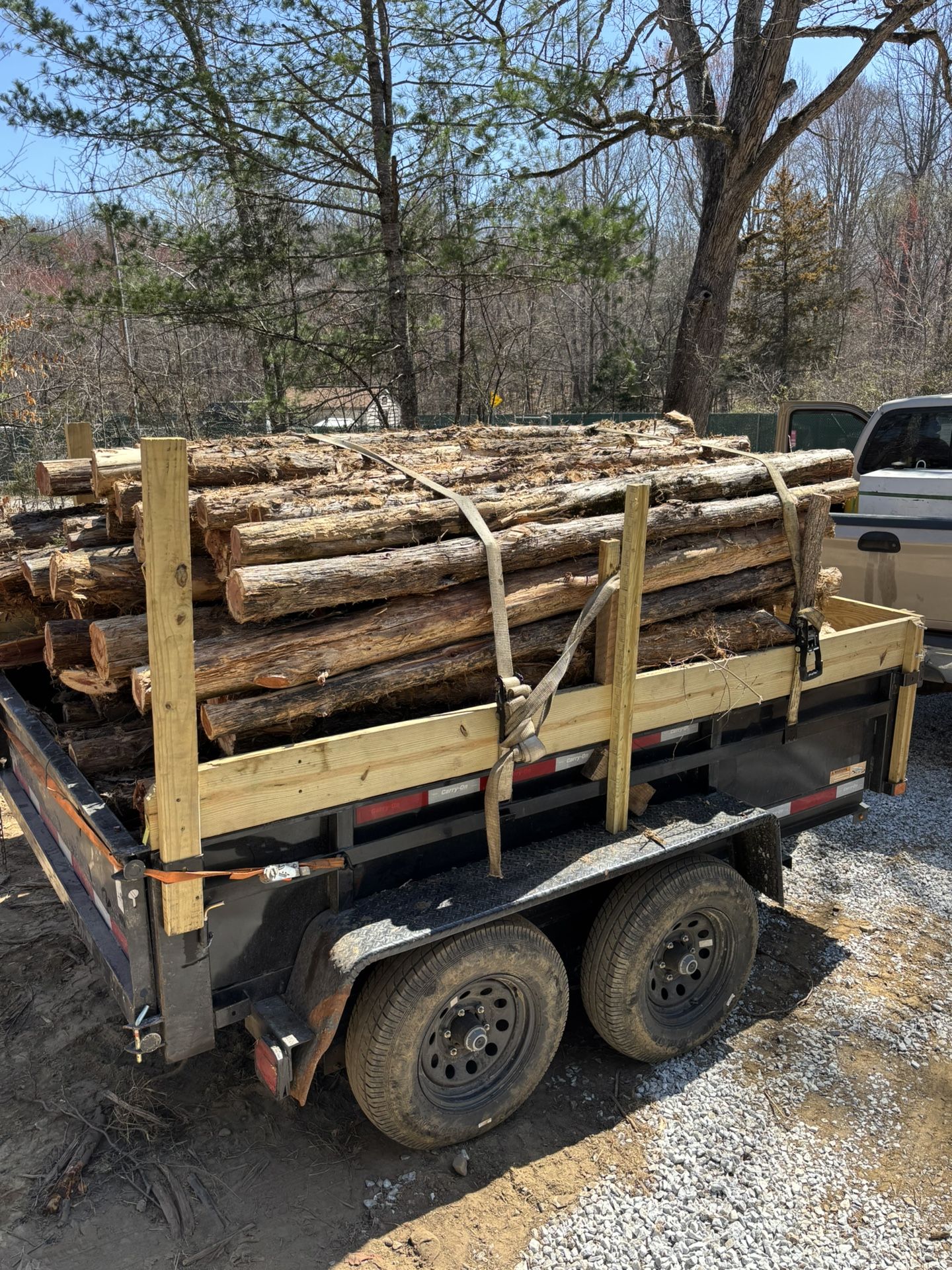 Fence Posts Black Locust And Red Cedar