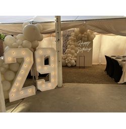 Balloon Garland Decoration