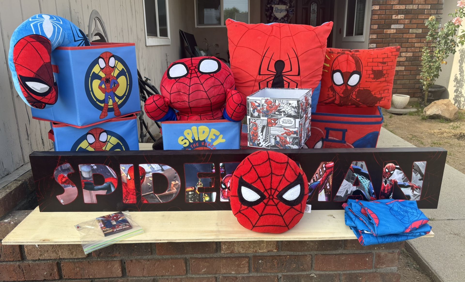 Spider-Man Room Decor