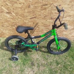 Boys Bicycle Shwinn Piston