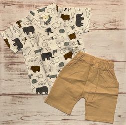 Baby Boys 2 piece set- 100% cotton