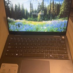 Dell Inspiron 14 7445  2 In 1