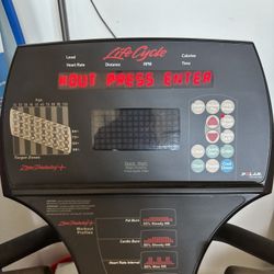 Life Cycle Recumbent Bike