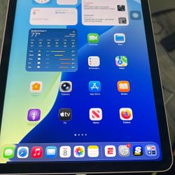 iPad Air 4th Gen 256 GB