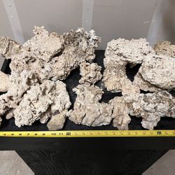 Dry Base Coral For Reef Aquarium