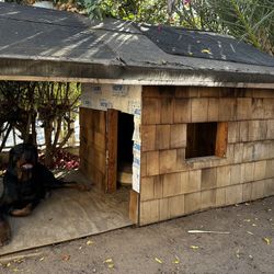 Dog House 