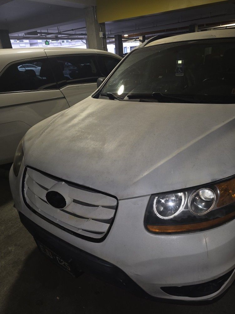 2010 Hyundai Santa-Fe