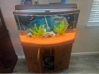 Fish tanks