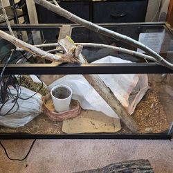 Reptile Supplies