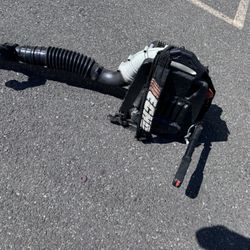 ECHO  Blower 