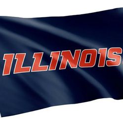 University of Illinois flag 3x5 dessert cactus #4