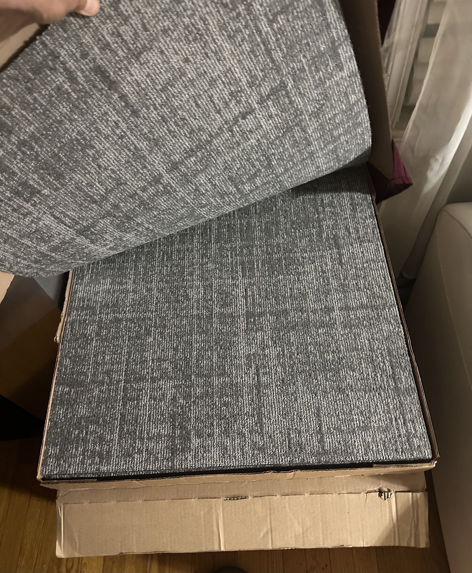 Floor Carpet