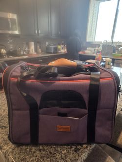 Morpilot Pet Travel Carrier Bag, Portable Pet Bag - Folding Fabric Pet