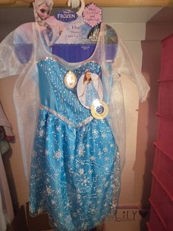 Elsa costume dress