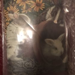 Easy Apply Bunny Border 5 Yards