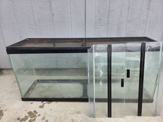 Glass terrarium