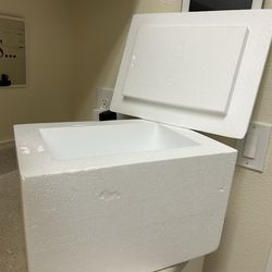 2 Styrofoam Cooler Boxes with lids and 4 reusable ice packs. Clean. Like new