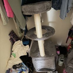 Cat Tree 