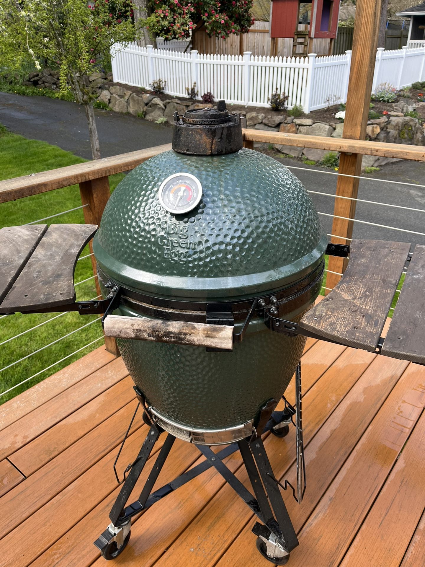 Large Big Green egg