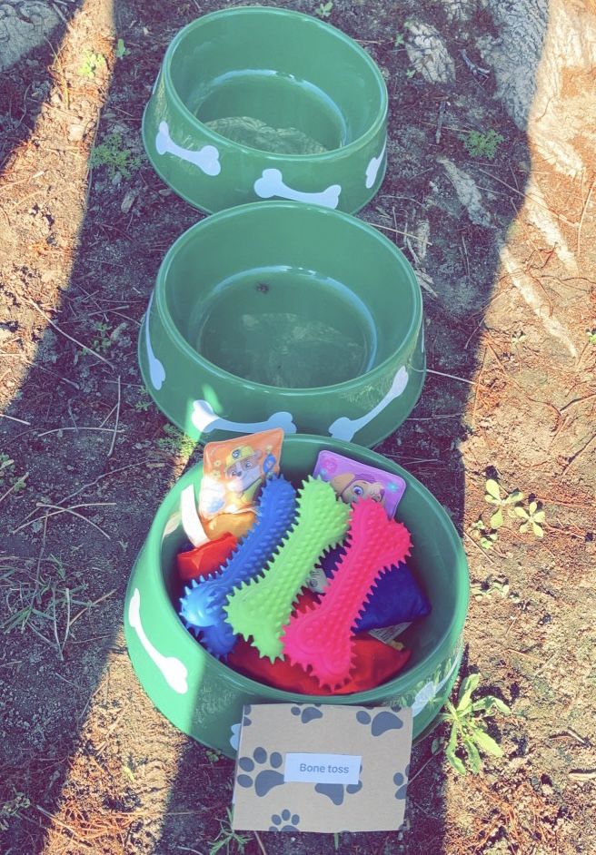 Bone Toss Game (for Paw Patrol Party)