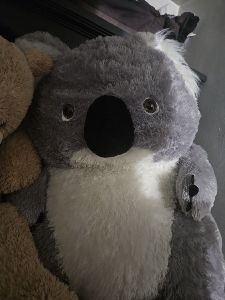 Hershey park koala bear