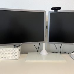 HP Elite Display Dual Monitors With Stand And Camera 