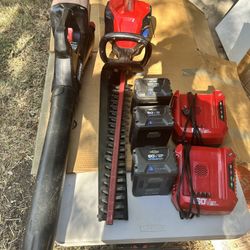 Snapper 60v Blower, Hedger, 3 Batteries