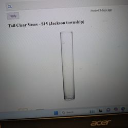 24"  X 4" Clear Glass Vase