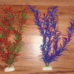 Aquarium Decor