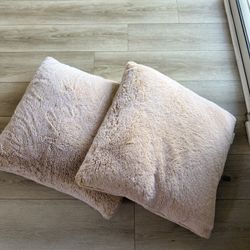 Two Large Square Pillows